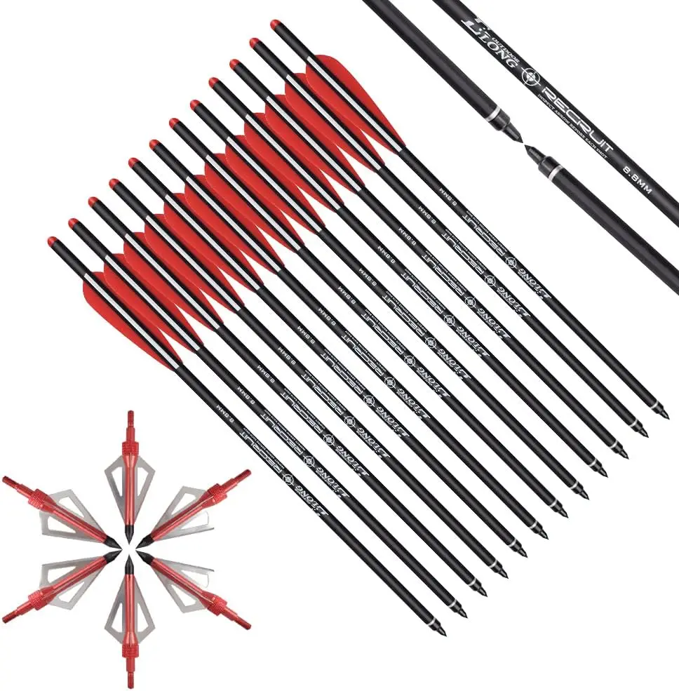 Pernos de ballesta Elong de ca - Crossbow Bolt Broadhead reseña y precio
