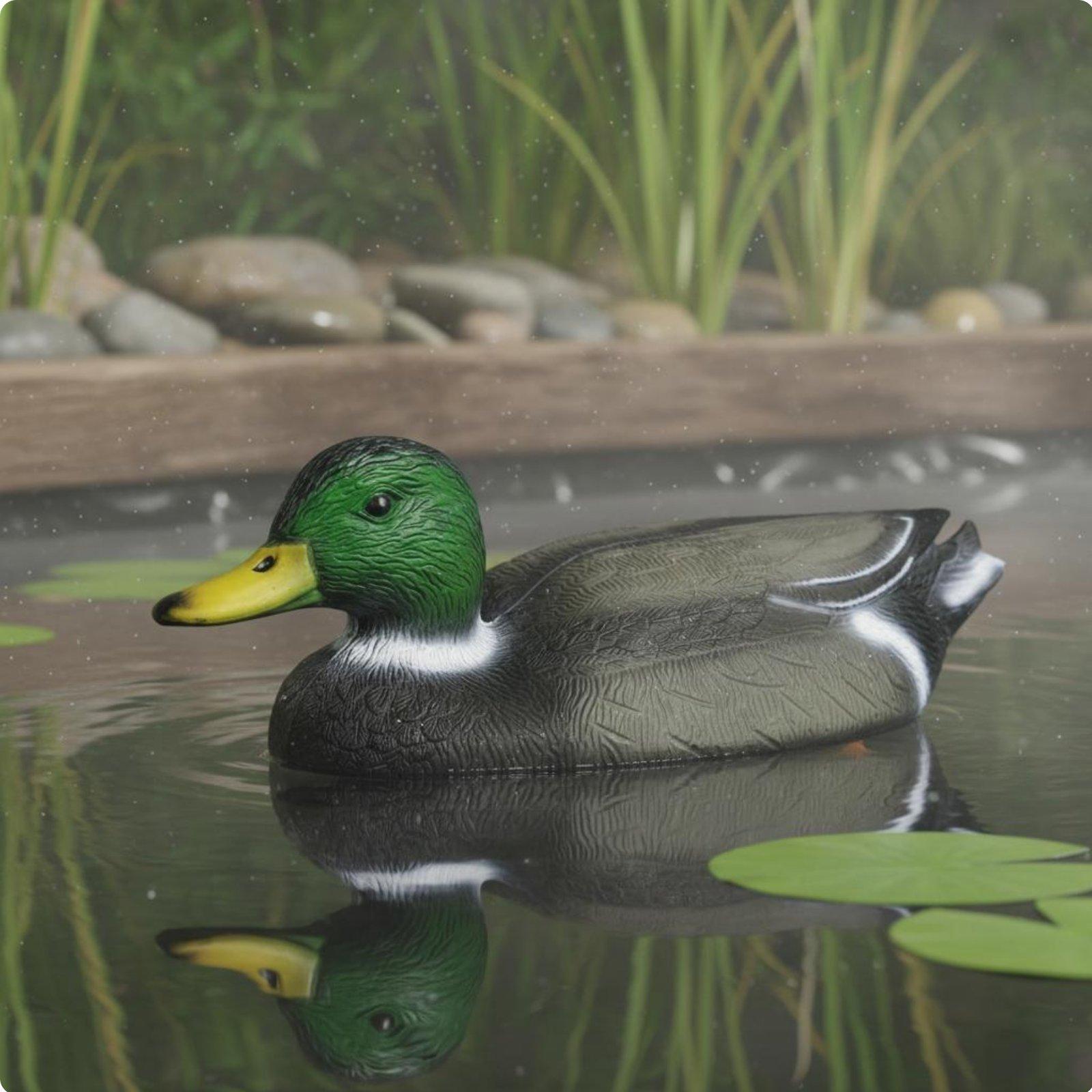 Señuelo Flotante de Pato Reali - Hunting & Outdoor Supplies Vanderbijlpark Photos reseña y precio